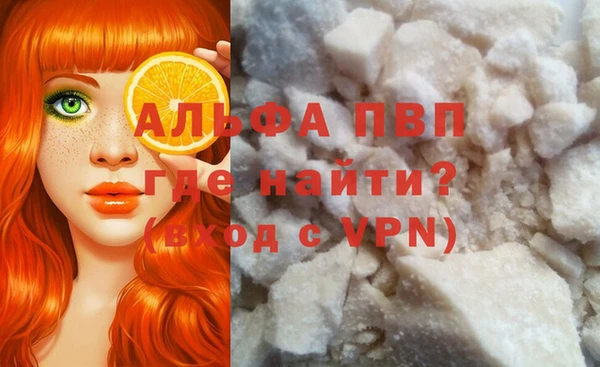 гидра Абаза