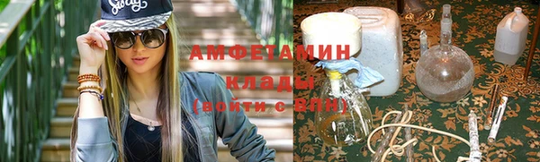 гидра Абаза