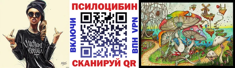 ОМГ ОМГ ТОР  Энем  Галлюциногенные грибы мицелий 